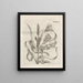 The Miraculous Transformation of Caterpillars and the Strange Food of Flowers Pl087 - Maria Sibylla Merian — framed artwork on a wall