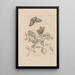 Dissertation sur la génération et les métamorphoses des insectes du Surinam Pl17 - Maria Sibylla Merian — framed artwork on a wall
