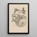 Dissertation on the generation and metamorphoses of insects from Suriname Pl29 - Maria Sibylla Merian — framed artwork on a wall