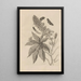 Dissertation on the generation and metamorphoses of insects from Suriname Pl30 - Maria Sibylla Merian — framed artwork on a wall