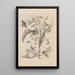 Dissertatio de generatione et metamorphoses des insectes surinamens Pl41 - Maria Sibylla Merian — framed artwork on a wall