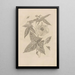 Dissertatio de generatione et metamorphoses des insectes surinamens Pl42 - Maria Sibylla Merian — framed artwork on a wall