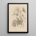 Dissertatio de generatione et metamorphoses des insectes surinamens Pl45 - Maria Sibylla Merian — framed artwork on a wall