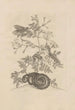 Dissertatio de generatione et metamorphoses des insectes surinamens Pl46 - Maria Sibylla Merian — artwork view