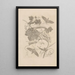 Dissertatio de generatione et metamorphoses des insectes surinamens Pl47 - Maria Sibylla Merian — framed artwork on a wall