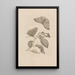 Dissertatio de generatione et metamorphoses des insectes surinamens Pl53 - Maria Sibylla Merian — framed artwork on a wall