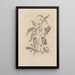 Dissertatio de generatione et metamorphoses des insectes surinamens Pl55 - Maria Sibylla Merian — framed artwork on a wall