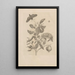 Dissertatio de generatione et metamorphoses des insectes surinamens Pl57 - Maria Sibylla Merian — framed artwork on a wall