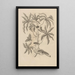 Dissertatio de generatione et metamorphoses des insectes surinamens Pl61 - Maria Sibylla Merian — framed artwork on a wall