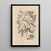 Dissertatio de generatione et metamorphoses des insectes surinamens Pl65 - Maria Sibylla Merian — framed artwork on a wall