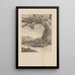 Dissertatio de generatione et metamorphoses des insectes surinamens Pl66 - Maria Sibylla Merian — framed artwork on a wall