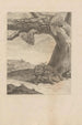 Dissertatio de generatione et metamorphoses des insectes surinamens Pl66 - Maria Sibylla Merian — artwork view