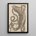 Dissertatio de generatione et metamorphoses des insectes surinamens Pl69 - Maria Sibylla Merian — framed artwork on a wall