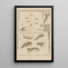 Dissertatio de generatione et metamorphosibus insectorum surinamensium Pl71 - Maria Sibylla Merian — framed artwork on a wall