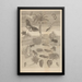 Dissertatio de generatione et metamorphosibus insectorum surinamensium Pl72 - Maria Sibylla Merian — framed artwork on a wall