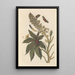 Dissertation on the generation and transformations of insects from Suriname Pl06 - Maria Sibylla Merian — framed artwork on a wall