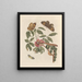 Dissertation sur la génération et les transformations des insectes de Surinam Pl08 - Maria Sibylla Merian — framed artwork on a wall