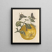 Dissertation sur la génération et les transformations des insectes de Surinam Pl12 - Maria Sibylla Merian — framed artwork on a wall
