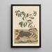 Dissertation sur la génération et les transformations des insectes de Surinam Pl13 - Maria Sibylla Merian — framed artwork on a wall