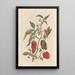 Dissertation on the generation and transformations of insects from Suriname Pl15 - Maria Sibylla Merian — framed artwork on a wall
