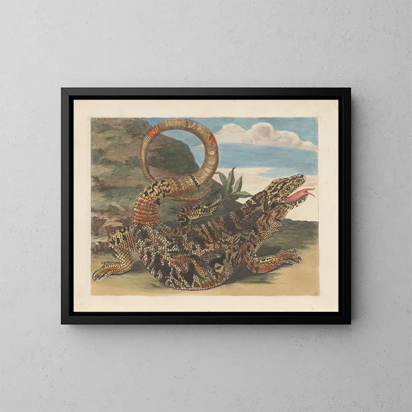 Dissertation sur la génération et les transformations des insectes du Surinam Pl21 - Maria Sibylla Merian — framed artwork on a wall