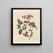 Dissertation on the generation and transformations of insects from Suriname Pl29 - Maria Sibylla Merian — framed artwork on a wall