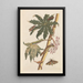 Dissertation sur la génération et les transformations des insectes de Surinam Pl30 - Maria Sibylla Merian — framed artwork on a wall