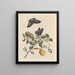 Dissertation on the generation and transformations of insects from Suriname Pl31 - Maria Sibylla Merian — framed artwork on a wall