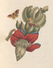 Dissertation on the generation and transformations of insects from Suriname Pl32 - Maria Sibylla Merian — artwork view