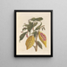 Dissertation on the generation and transformations of insects from Suriname Pl33 - Maria Sibylla Merian — framed artwork on a wall