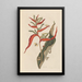 Dissertation on the generation and transformations of insects from Suriname Pl39 - Maria Sibylla Merian — framed artwork on a wall