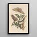 Dissertation on the generation and transformations of insects from Suriname Pl42 - Maria Sibylla Merian — framed artwork on a wall