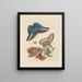 Dissertation on the generation and transformations of insects from Suriname Pl48 - Maria Sibylla Merian — framed artwork on a wall