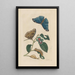 Dissertation sur la génération et les transformations des insectes de Surinam Pl51 - Maria Sibylla Merian — framed artwork on a wall