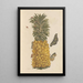 Dissertation on the generation and transformations of insects from Suriname Pl52 - Maria Sibylla Merian — framed artwork on a wall