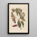 Dissertation on the generation and transformations of insects from Suriname Pl58 - Maria Sibylla Merian — framed artwork on a wall