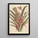 Dissertation on the generation and transformations of insects from Suriname Pl64 - Maria Sibylla Merian — framed artwork on a wall