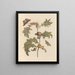 Dissertation on the generation and transformations of insects from Suriname Pl67 - Maria Sibylla Merian — framed artwork on a wall