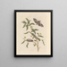 Dissertation on the generation and transformations of insects from Suriname Pl71 - Maria Sibylla Merian — framed artwork on a wall
