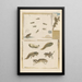 Dissertation on the generation and transformations of insects from Suriname Pl72 - Maria Sibylla Merian — framed artwork on a wall