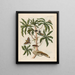 Goyave blanche dulcis - Maria Sibylla Merian — framed artwork on a wall
