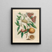 Lemon Painting - Maria Sibylla Merian — framed artwork on a wall