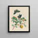 Limonier - Maria Sibylla Merian — framed artwork on a wall