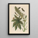 Palma Christi Painting - Maria Sibylla Merian — framed artwork on a wall