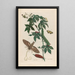 American Castor Bean Plant - Maria Sibylla Merian — framed artwork on a wall