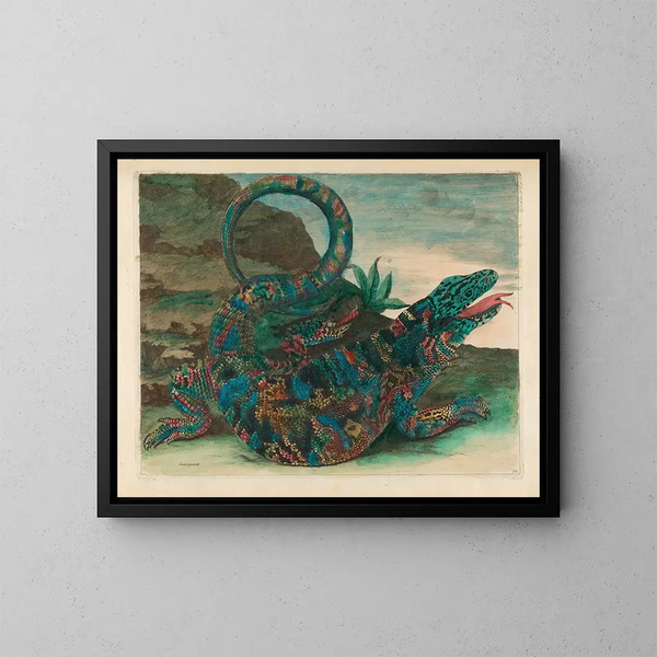 Save - Maria Sibylla Merian — framed artwork on a wall