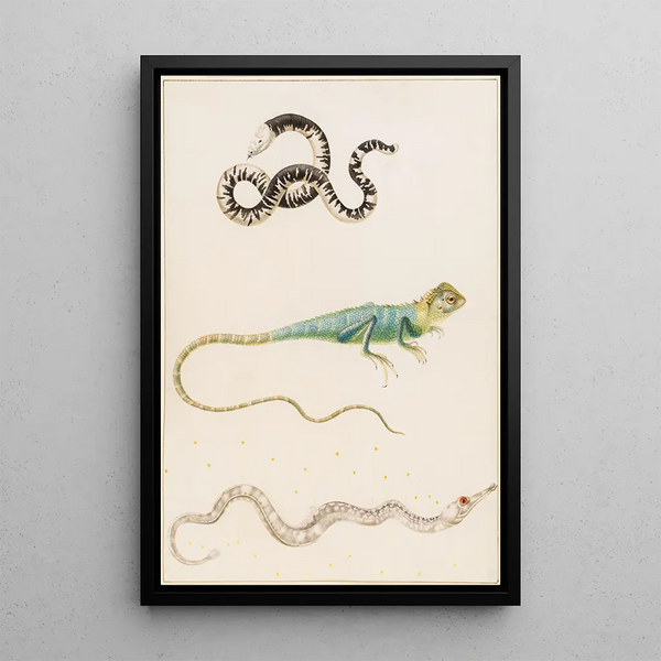 Small Lizard Painting of the South American Toad-headed Lizard or Oriental Tree Lizard and Trumpetfish - Maria Sibylla Merian — framed artwork on a wall