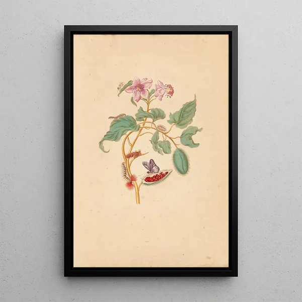 L'arbre Rocu avec chenilles, papillons de nuit et papillons - Maria Sibylla Merian — framed artwork on a wall