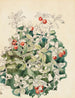 Airelles rouges - Maria Yakunchikova — artwork view