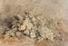 A bouquet of wild roses - Marie Egner — artwork view